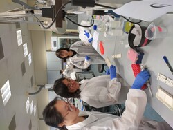 Participants preparing samples during day two of the lab tutorial.